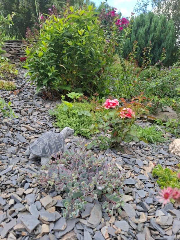 Kamenná kůra- štěpka - 3 velikosti - Vyberte rozměr: 16-32 mm