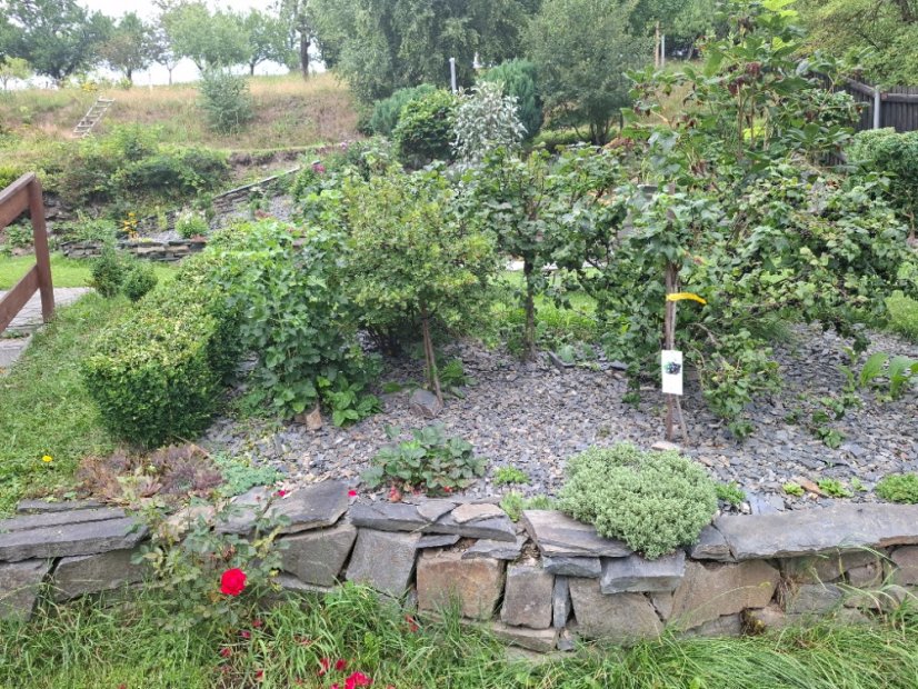 Kamenná kůra- štěpka - 3 velikosti