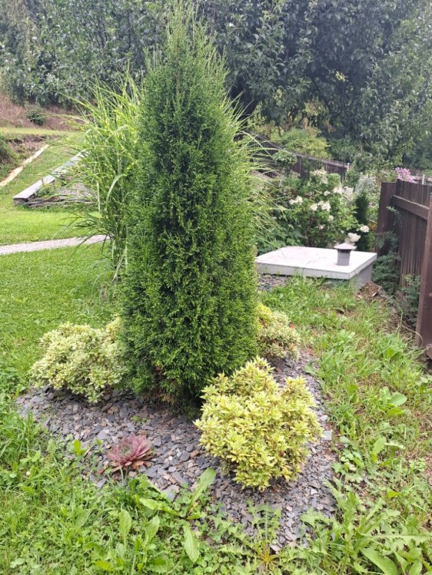 Kamenná kůra- štěpka - 3 velikosti - Vyberte rozměr: 16-32 mm