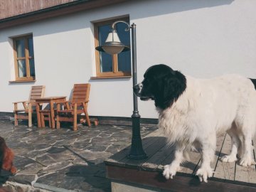 Jak opravit uvolněnou nebo popraskanou dlažbu z břidlice?